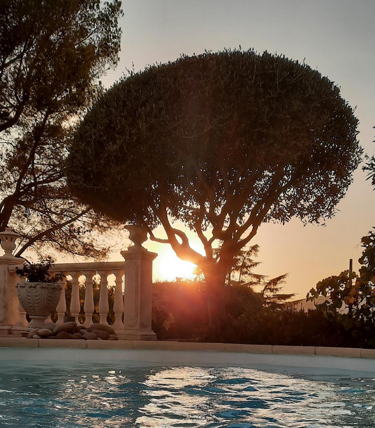 Gite Les Pins Climatise Piscine Chauffee Jardin ペメナード エクステリア 写真